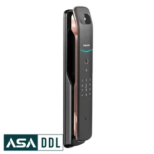 DDL709 VP-2