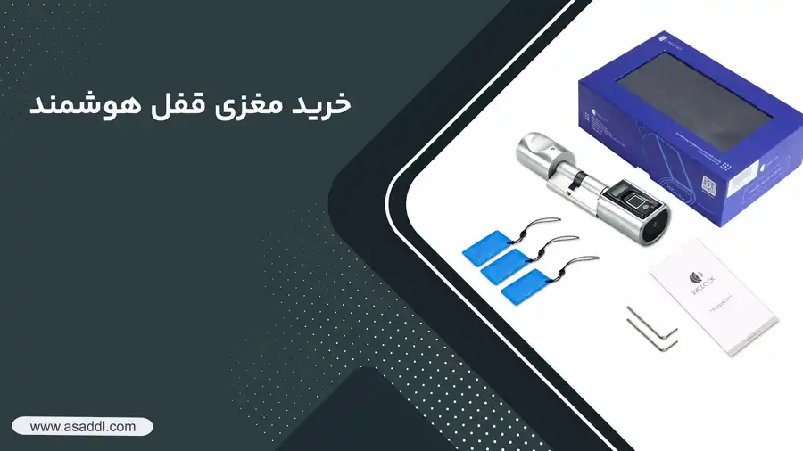 خرید مغزی قفل هوشمند