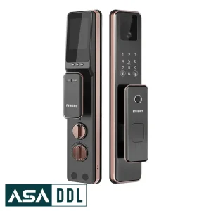 DDL301 FVP