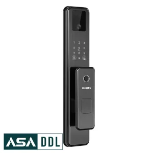 DDL301 FVP