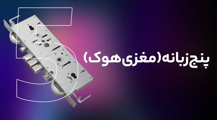 پنج زبانه (مغزی هوک)