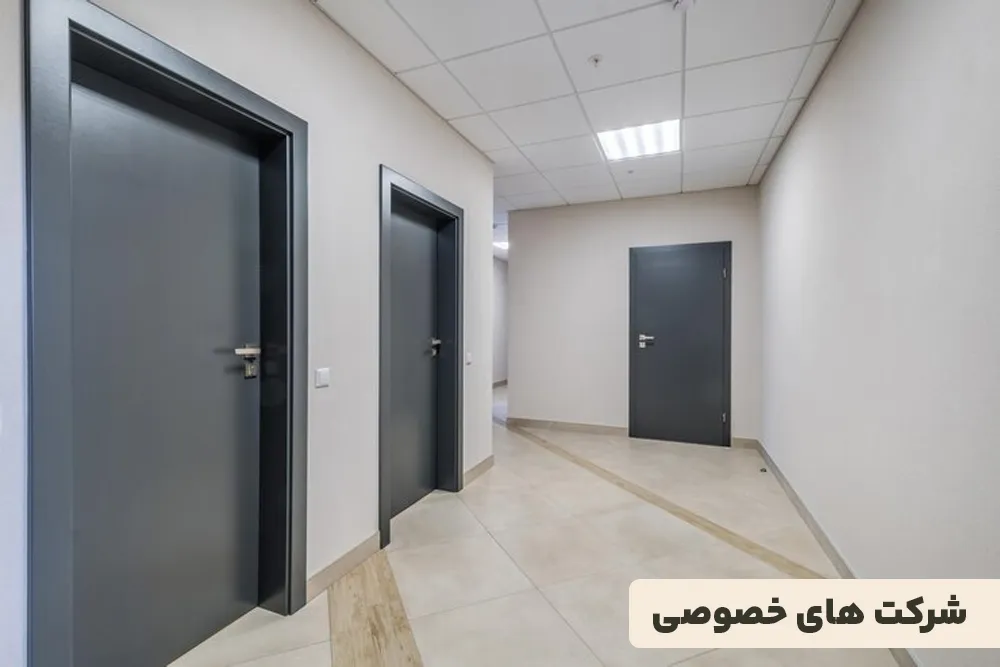 شرکت های خصوصی