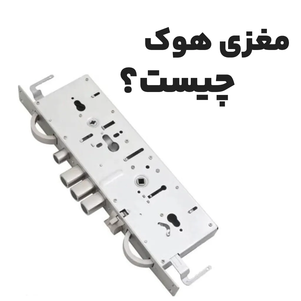 مغزی هوک چیست