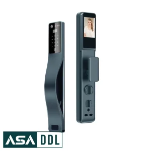 rdl-909
