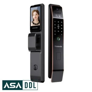 700FVP-pro-Asaddl-1
