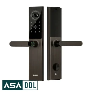 Sharp-A3-B-Asaddl