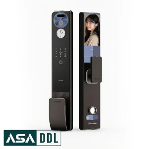 Sharp-H4-FV-Asaddl