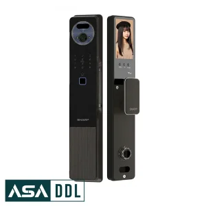 Sharp-H7-FV-Asaddl