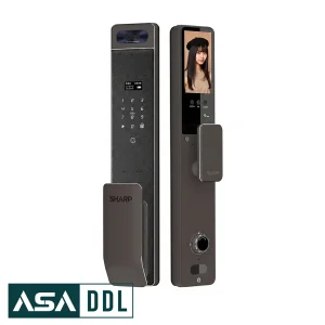 Sharp-S5-FV-Asaddl